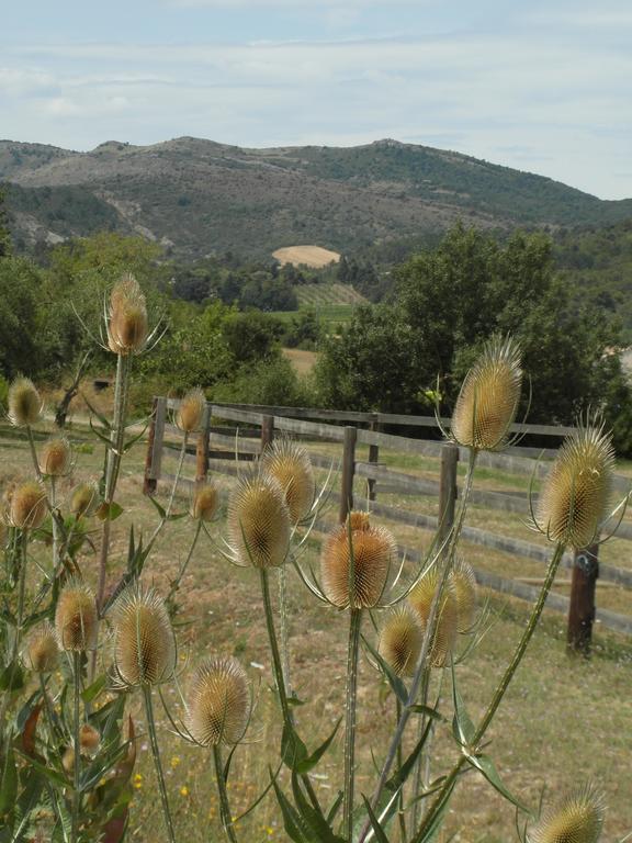 Bergerie Du Plo Villa Montlaur  Eksteriør bilde