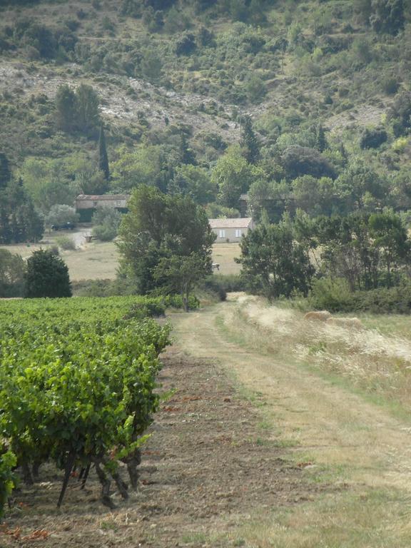 Bergerie Du Plo Villa Montlaur  Eksteriør bilde